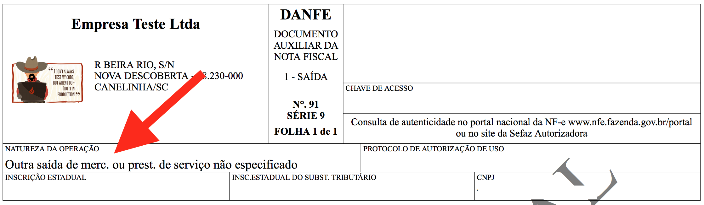 DANFE natureza operação